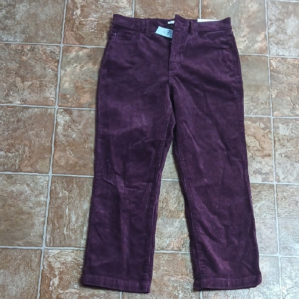 NWT Loft The Straight High Rise Regular Fit Petite Inseam Size 29 Color Burgundy